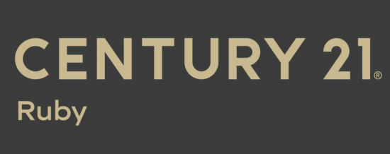 Výsledky roku 2019 v rámci sítě Century 21