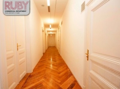 Pronájem Myšák Gallery