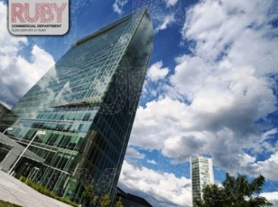 Pronájem City Tower