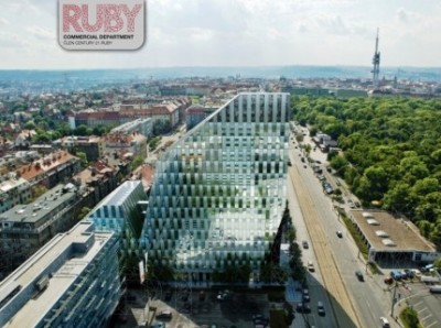 Pronájem Crystal