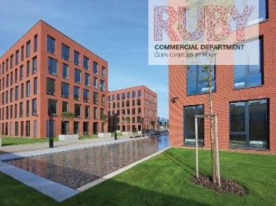 Pronájem Futurama Business Park