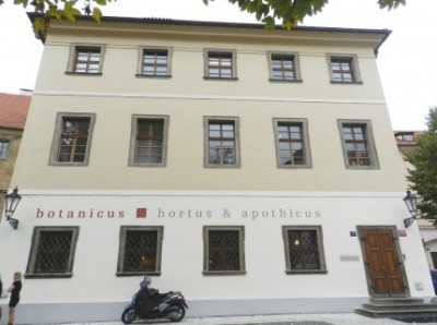 Pronájem Ungelt