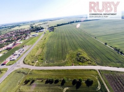 Pronájem CTPark Hrušky