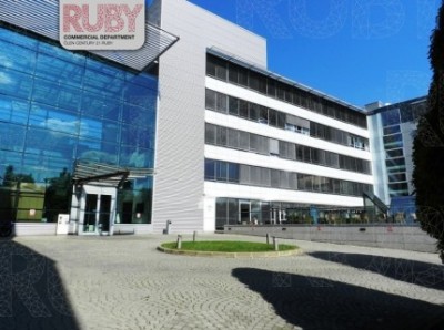Pronájem Hadovka Office Park