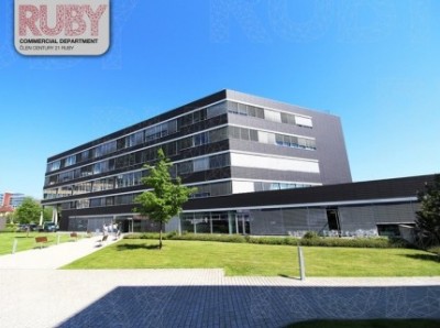 Pronájem Avenir Business Park
