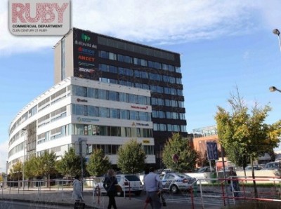 Pronájem Budějovická Alej
